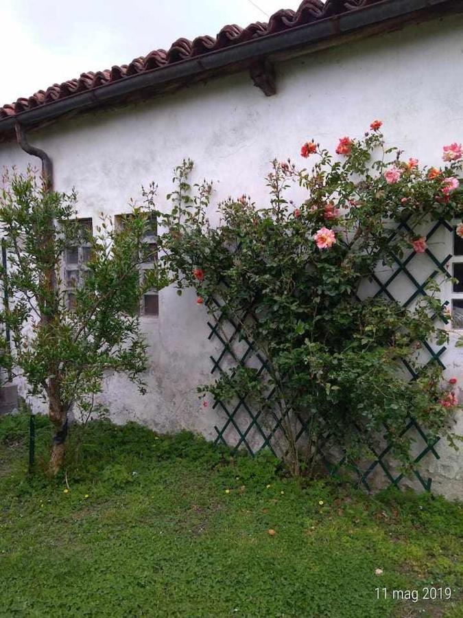 Bed and Breakfast Beb Infamiglia Cascinette Экстерьер фото